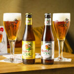 Kit 3 Cervejas Belga Brugse Zot 3x330ml - De Halve Maan - Imagem 2