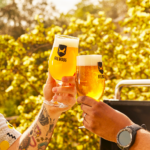 Cerveja Escocesa Brewdog Punk American IPA 5,4% 330ml - Imagem 5