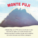 Cerveja Japas Fuji Sour Ale com Maça Fuji 5,5% 473ml - Imagem 3