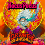 Cerveja Hocus Pocus Orange Sunshine Blonde Ale 5% 350ml - Imagem 2